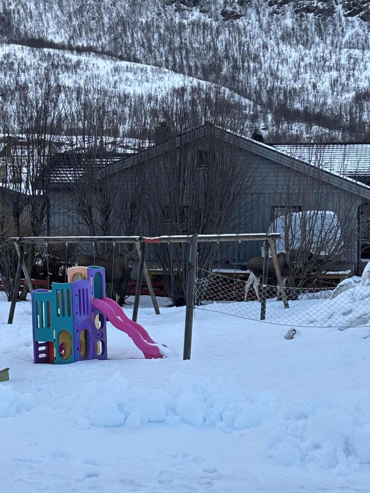 Leilighet Big With Free Parking *